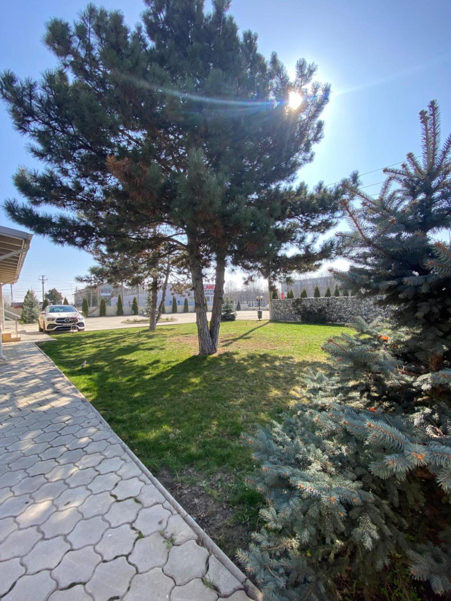 Hotel Terra Iasi Valea Lupului  Esterno foto
