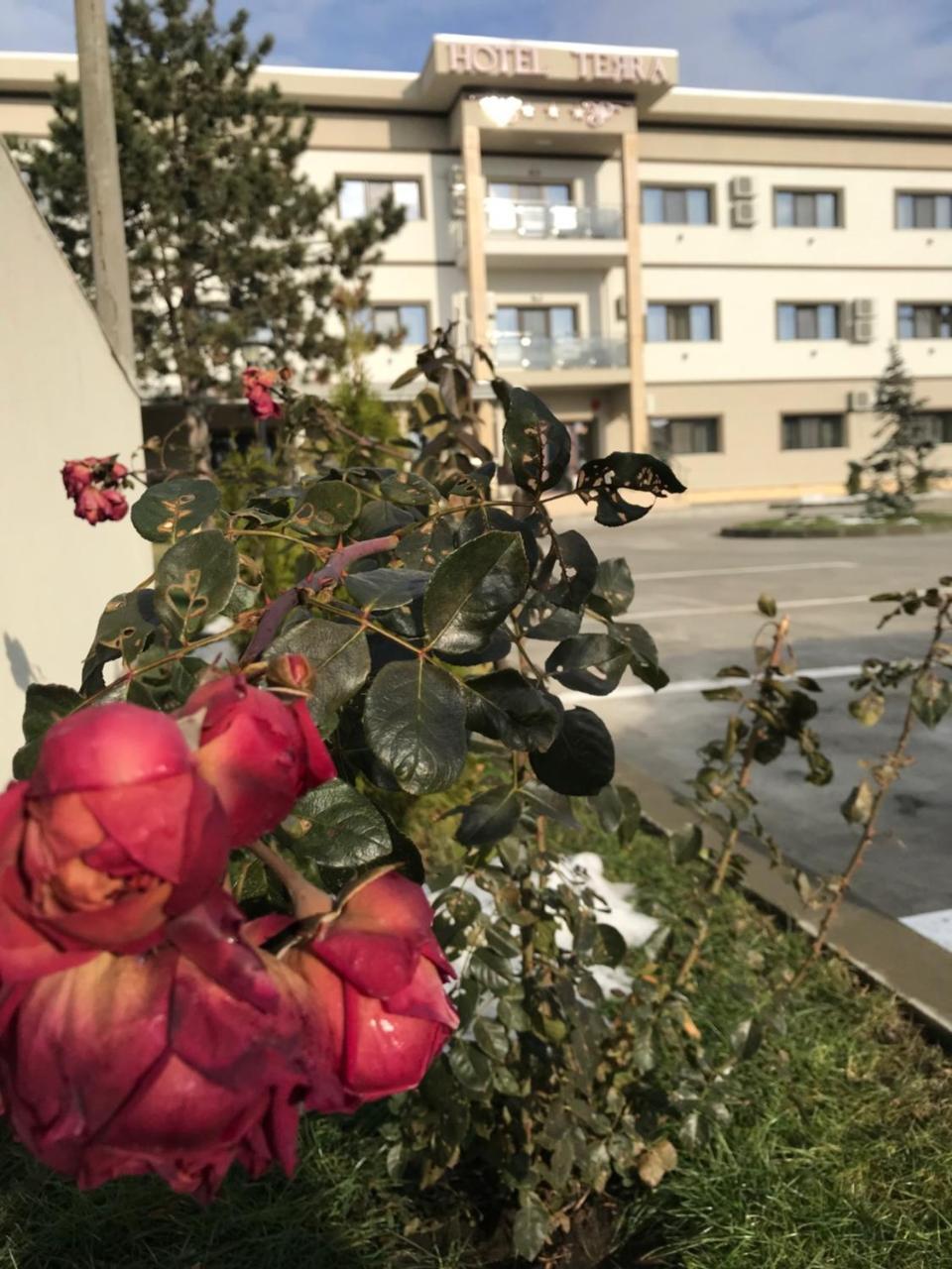Hotel Terra Iasi Valea Lupului  Esterno foto